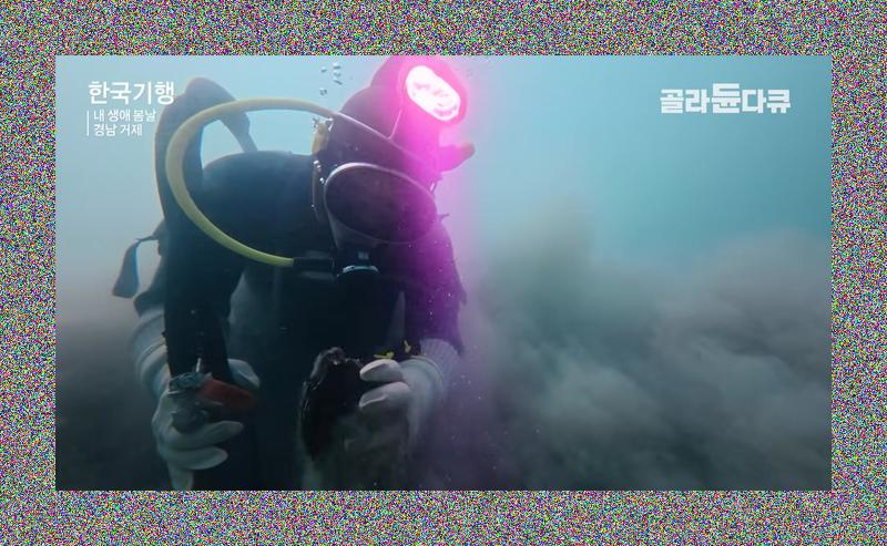 1시간 반 만에 40만원? 거제 앞바다엔 '이것' 주우러 목숨 거는 부자 잠수부가 있다! 썸네일 이미지